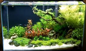 4 Best Aquarium Light Timer 2020 Reviews Guide