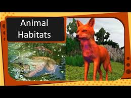 science types of animal habitat english