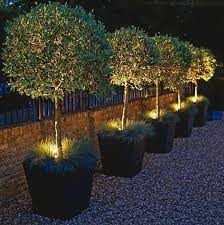 Pin On Garden Outdoor