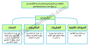 خطاطة درس تنوع الجراثيم للسنة الثالثة اعدادي