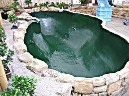 We did not find results for: Building A Deep Pond Without Concrete