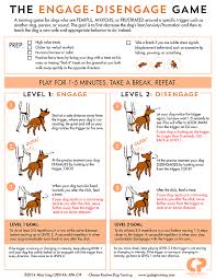 20 Fun And Easy Games To Keep Your Dog Fit Long Live Dog Reactive Dog Dog Training Obedience Positive Dog Training