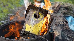 Maybe you would like to learn more about one of these? New Tallahassee Burning Ordinance Harmful To Public Health Opinion