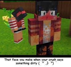 Using this game to build some of the funniest memes on the web. Memes That I Think Are Funny Mcd Minecraft Diaries Amino