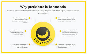 Banana Coin Human Bannersf