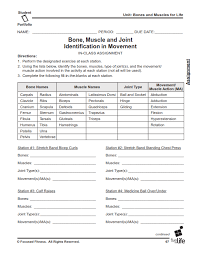 There are worksheets for all subjects, as well as ones regarding holidays, seasons, technology use and much more! Physical Education Middle High School Portfolio Fitness Plan
