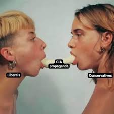 The Joe Rogan Experience Podcast