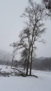 Image result for site:byggahus.se byte-stock