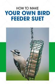 Our recent rescue finds simon and lawrie outwitted as they attempt to free the bird of prey from an mot garage! 720 Diy Homemade For Wild Birds Ideas In 2021 Bird Feeders Wild Birds Diy Bird Feeder