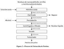 Proceso De Extraccion Pectina Proceso Albedo Productos Innovadores
