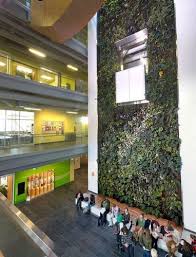 Students At Algonquin College S Living Wall Biofilter College Living Living Wall Plant Wall