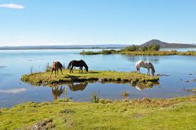 Get quick answers from entre terre et mer staff and past visitors. 10 Lieux De Tournage De Films En Islande A Decouvrir