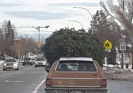 Christmas vacation tree on car. That S A Honey Of A Tree Clark Stittcottes Recreate Griswold Christmas Vacation Stittsville Central Local News Events And Business