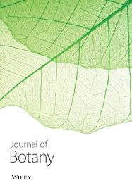 Image result for Vernonia karaguensis