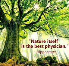 Interview With An Inspiring Naturopath Mother Nature Quotes Nature Quotes Nature