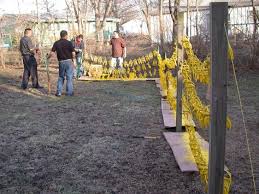 Your problems are our problems and our goal is get things. 33 Daily Work At Catch It Wildlife And Pest Control Ideas Pest Control Wildlife Pests