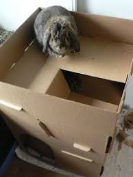 Jouet55 Jpg 220 293 Jouet Pour Lapin Jeu Pour Lapin Lapin