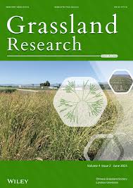 Image result for Hyparrhenia subplumosa