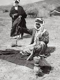 bedouin with falcons for hunting jordon 1900 american colonies photo falcons