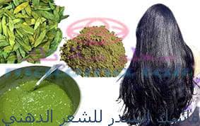 ماسك السدر للشعر الدهني