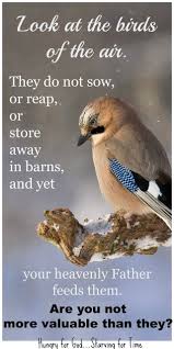 Birds Of The Air Bible Meaning Pin On Birds