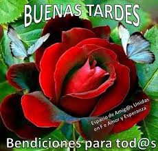 Check spelling or type a new query. Imagenes De Buenas Tardes Para Whatsapp Pagina 3 Imagenes Cool