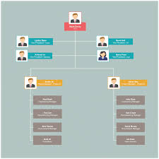 Organizational Chart Templates Editable Online And Free To
