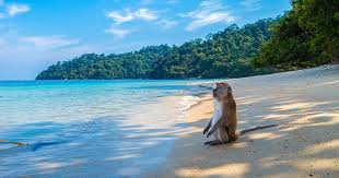 Tripadvisor has 6,637,188 reviews of thailand hotels, attractions, and restaurants making it your best thailand resource. Strandurlaub In Thailand Geheimtipps Fur Den Trip Ins Paradies