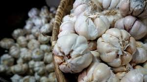 Yang pertama adalah dengan cara mengkonsumsi bawang putih tunggal langsung alias dimakan mentah usai mengupas kulitnya. 6 Manfaat Bawang Putih Bagi Kesehatan Dan Kecantikan Kulit Kumparan Com