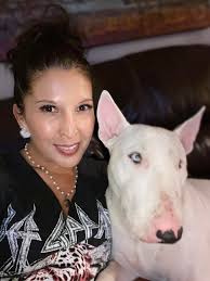 English Bull Terrier eye colors and Netflix nights