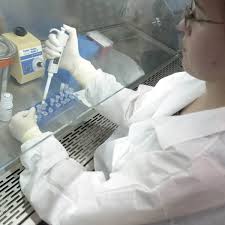 We did not find results for: West Nil Virus Rki Warnt Vor Bleibender Gefahr Bildderfrau De