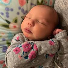 The Adams Museum in Adams Tennessee