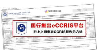 However, if you make a payment after the due date, your monthly report will indicate '1' to denote that you paid late for one month, '2' if you paid late for two months and so on. å›½è¡ŒæŽ¨å‡ºeccriså¹³å° å¯ä¸Šç½'å…è´¹èŽ·å–ccrisæŠ¥å'Š Winrayland