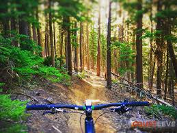 Logs, ramps, roots, bridges, ridges, pines, views, and plenty of trail. Swampy To Mrazek Mountain Bike Trail Deschutes River Woods Oregon