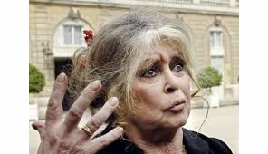 Brigitte bardot (également connue sous les initiales de « bb »), née le 28 septembre 1934 à paris, est une actrice de cinéma, mannequin, chanteuse et militante des droits des animaux française. Hommage Brigitte Bardot Sur Jean Paul Belmondo Je Pense A Lui Je L Aimais