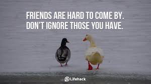 Friends Are Hard To Come By Famous Friendship Quotes Friends Quotes Friendship Quotes