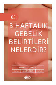 3 Haftalik Hamilelik Belirtileri Nelerdir 3 Haftalik Gebelik Testte Cikar Mi Hamilelik Anne Rehber