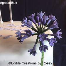 Pin On Sugarpaste Flowers By Edible Creations By Rosey