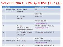 Szczepienia 5w1, podobnie, jak wspomniane wyżej 6w1, to wysoko skojarzone preparaty, które mogą uchronić dziecko przed kilkoma chorobami za pomocą jednego zastrzyku. Kalendarz Szczepien Sprawdz Wazne Terminy Szczepionka Info