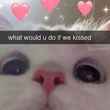 Pin By Freya On Things Imma Send My Future Gf In 2020 Wholesome Memes Cute Memes Cute Love Memes
