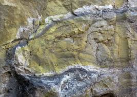 Traces of uranium can even be found in food and our own body. Uranium In A Nutshell