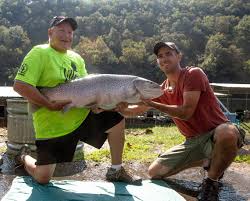 Top rated rentals — bull shoals lake boat dock. Fishing Report For Ks Mo Kc Area Lakes Reservoirs 9 13 19 The Kansas City Star