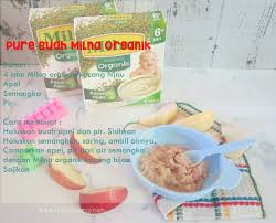 Masukkan santan, campur dengan daun pandan dan garam di dalam panci. Milna Bubur Bayi Organik Hujanpelangi Blog