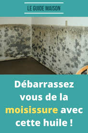 La Moisissure Dans La Maison Est Une Question Extremement Desagreable Et Dangereuse Car Elle Met La Sante En Danger De En 2020 Moisissure Anti Moustique Maison Huile