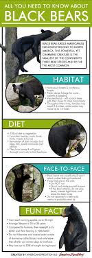 Black Bear Infographic All You Need To Know About Black Bears Learn About Black Bear Habitats Diets And What Bear Habitat Black Bear Hunting Black Bear