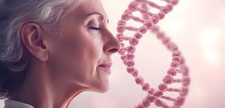 Longevity Lessons from Centenarians: Applying Blue Zone Insights to Skin  Well-Being