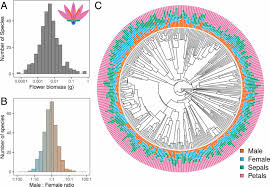 Maybe you would like to learn more about one of these? The Maleness Of Larger Angiosperm Flowers Pnas