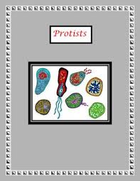 Protists Ecosystems Ecology Biology Lessons Middle