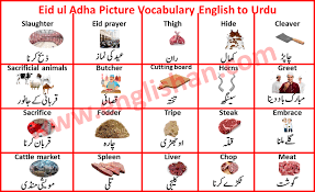 Eid Ul Adha Vocabulary English To Urdu Free Pdf English Writing Skills Eid Ul Adha Vocabulary