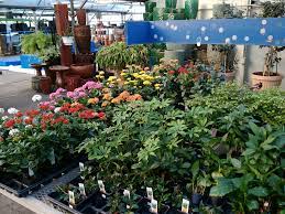 Welcome to the online home of st. Weekly Sale Items Lowe S Garden Center